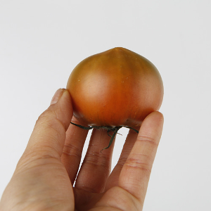 부산강서 대저 짭짤이 토마토 로얄과 1kg 농장직송